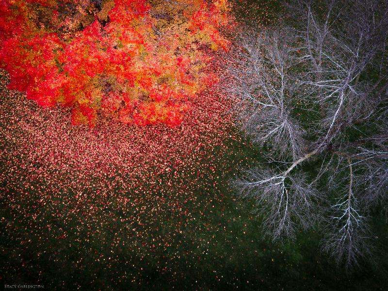 drone4