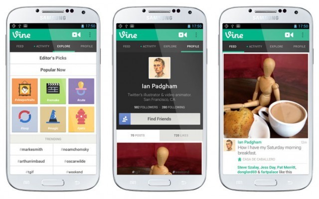 vine_2579950a